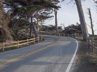 Clear Sky Road: Asphalt Lane