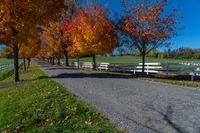 a tree lined path through a field between two wooden gates and trees with orange, orange, red and green leaves