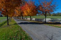 a tree lined path through a field between two wooden gates and trees with orange, orange, red and green leaves