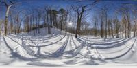 a snowy slope lined with lots of snow covered trees under a blue sky with small white stars