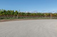 Rural road in Ontario, Canada with clear sky