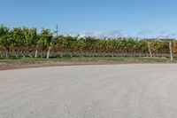 Rural road in Ontario, Canada with clear sky