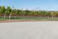 Rural road in Ontario, Canada with clear sky