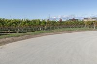 Rural road in Ontario, Canada with clear sky