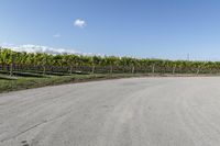 Rural road in Ontario, Canada with clear sky