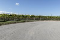 Rural road in Ontario, Canada with clear sky