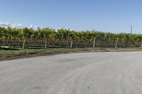 Rural road in Ontario, Canada with clear sky