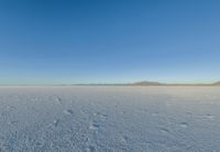 a large flat plain with many small footprints in the middle of it and mountains beyond