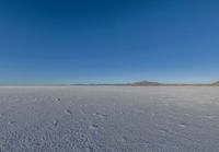 a large flat plain with many small footprints in the middle of it and mountains beyond