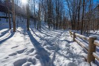 a bench sitting on top of snow covered ground next to trees and forest signs with sun reflecting off them