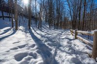 a bench sitting on top of snow covered ground next to trees and forest signs with sun reflecting off them