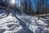 a bench sitting on top of snow covered ground next to trees and forest signs with sun reflecting off them