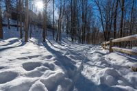 a bench sitting on top of snow covered ground next to trees and forest signs with sun reflecting off them