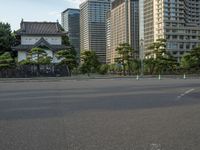 Clear Sky Sunrise at Edo Park, Tokyo, Japan