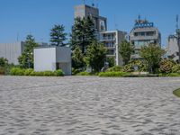 Clear Sky in Tokyo, Japan: Embracing City Life