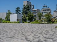 Clear Sky in Tokyo, Japan: Embracing City Life