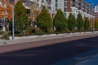 a city street with tall buildings and some trees in front of them on a sunny day