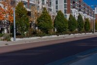 a city street with tall buildings and some trees in front of them on a sunny day