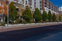 a city street with tall buildings and some trees in front of them on a sunny day