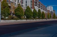 a city street with tall buildings and some trees in front of them on a sunny day