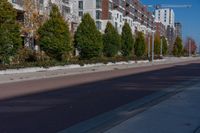 a city street with tall buildings and some trees in front of them on a sunny day