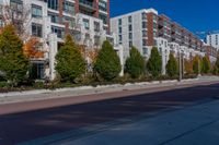 a city street with tall buildings and some trees in front of them on a sunny day