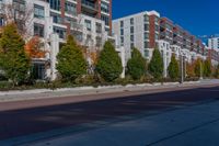 a city street with tall buildings and some trees in front of them on a sunny day