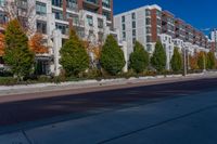 a city street with tall buildings and some trees in front of them on a sunny day