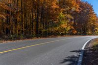 an empty road going past some trees with autumn colored foliages, in the woods