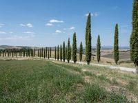 Clear Sky: Traversing a Gravel Road in Tuscany