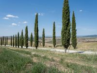 Clear Sky: Traversing a Gravel Road in Tuscany