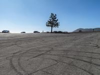 a lonely parking lot with cars parked on the grass in front of it and a large tree that has been bent over to the ground