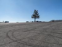 a lonely parking lot with cars parked on the grass in front of it and a large tree that has been bent over to the ground