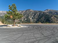 a lone pine tree sitting on a gravel parking lot with mountains in the background and a mountain view