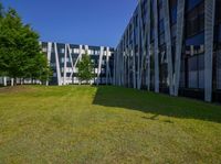 Clear Sky Urban Landscape with Modern Architecture