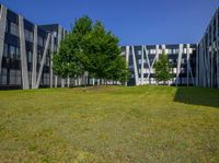 Clear Sky Urban Landscape with Modern Architecture