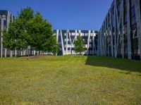 Clear Sky Urban Landscape with Modern Architecture