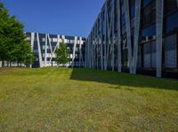 Clear Sky Urban Landscape with Modern Architecture