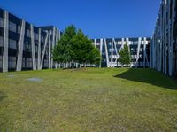 Clear Sky Urban Landscape with Modern Architecture