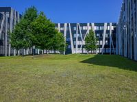 Clear Sky Urban Landscape with Modern Architecture