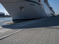 large cruise boat parked in the harbor with people walking by it and water on the pavement