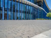 a building with pink glass and purple striped exterior is shown with the brick path on the left