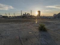 Clear Sunrise in Los Angeles: City Skyline Illuminated