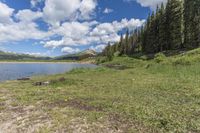 there is a lake surrounded by some trees and grass near some trees and mountains in the background