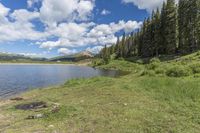 there is a lake surrounded by some trees and grass near some trees and mountains in the background