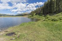 there is a lake surrounded by some trees and grass near some trees and mountains in the background