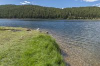 a man fly fishing at the edge of a lake with his poles attached to a pole