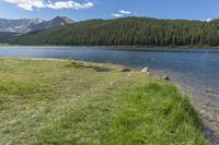 a man fly fishing at the edge of a lake with his poles attached to a pole