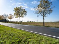 there is a road and several trees along the road on both sides of it that is a field with grass