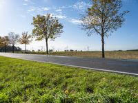 there is a road and several trees along the road on both sides of it that is a field with grass